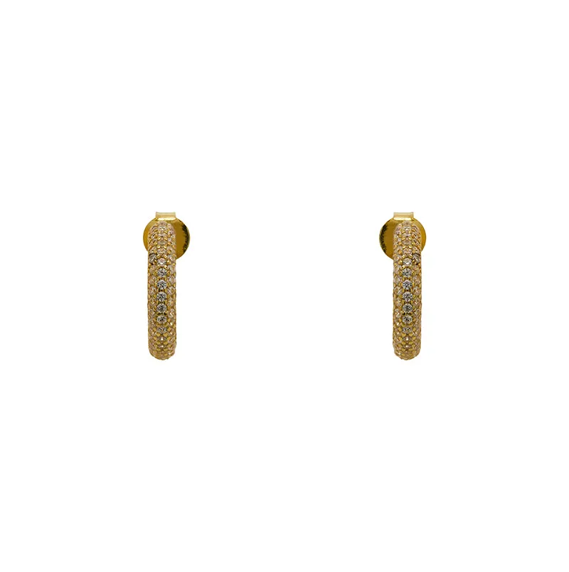 Ani Earrings