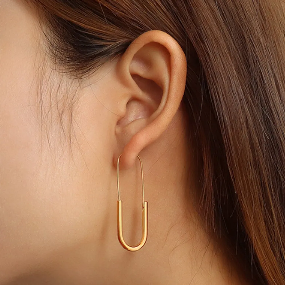Boxed 2 Pairs of Havana Earrings Set