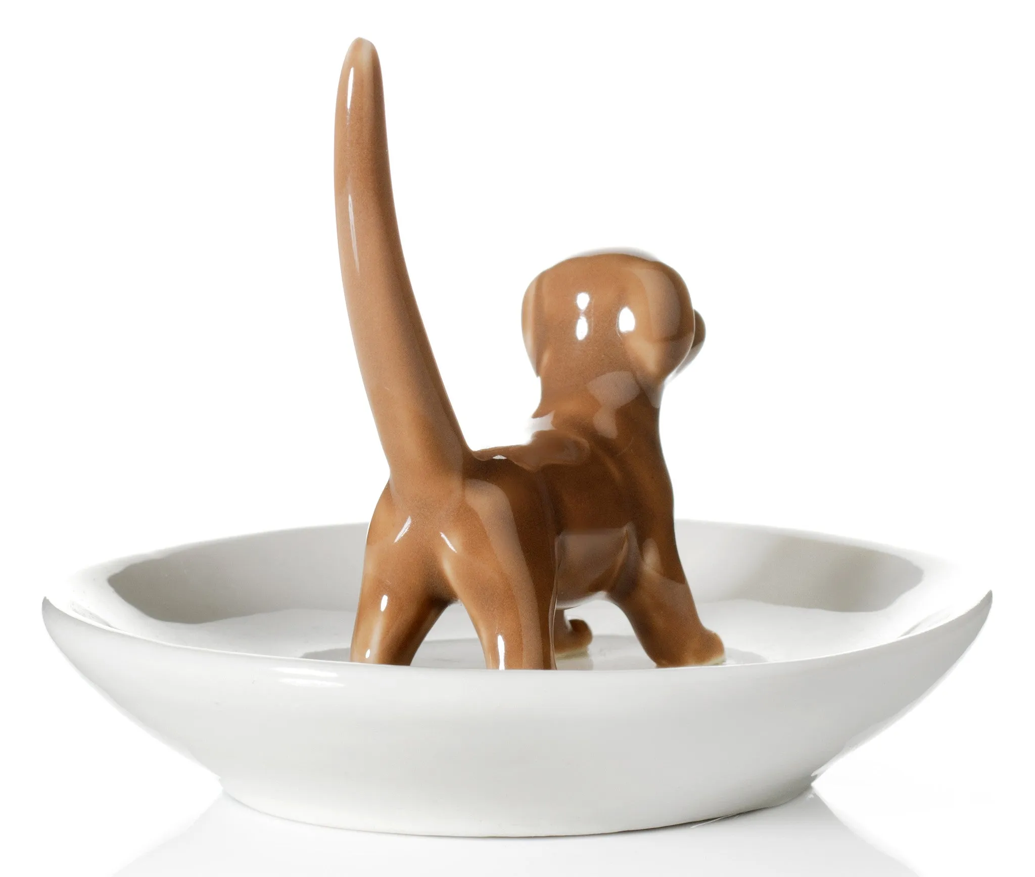 Dog Ring Holder