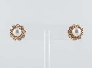 Earrings Modern Akoya Pearl in 14k Yellow Gold