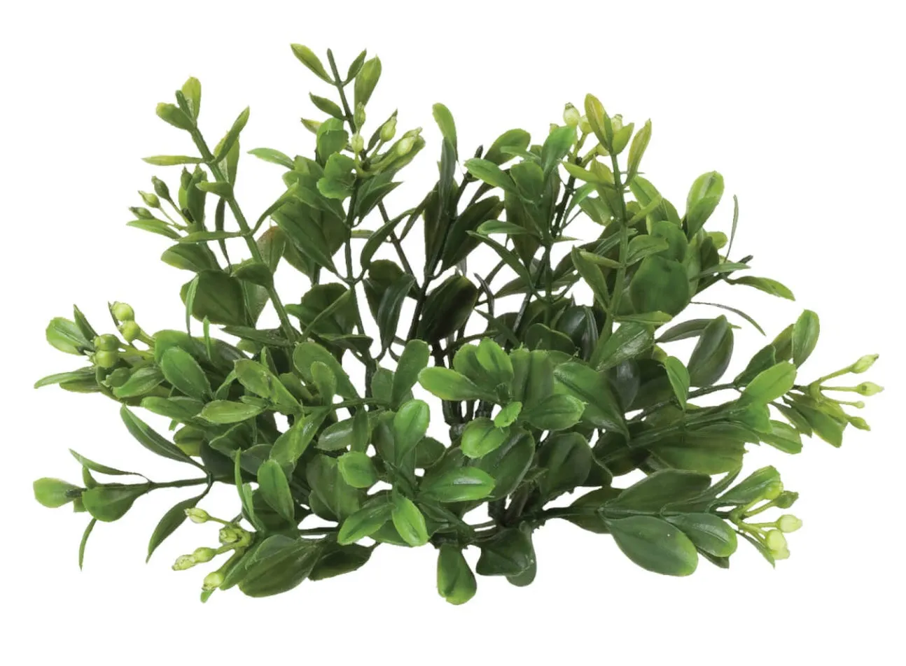 Mini Boxwood Accent Rings