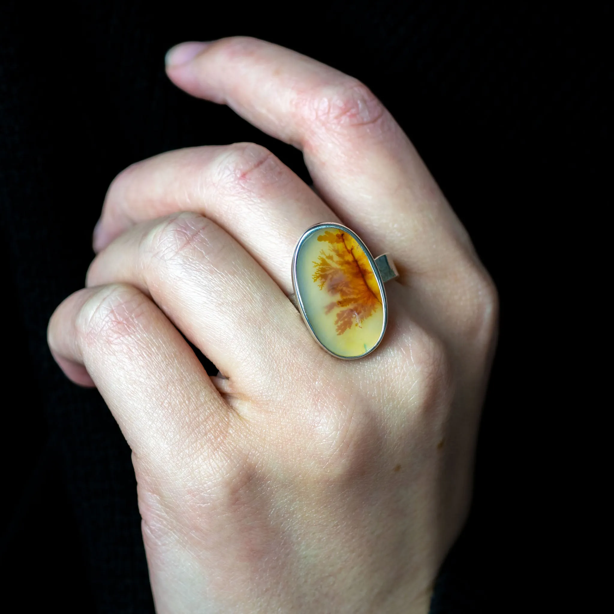 No.108 - Silver Dendritic Agate Ring - Size X 1/2